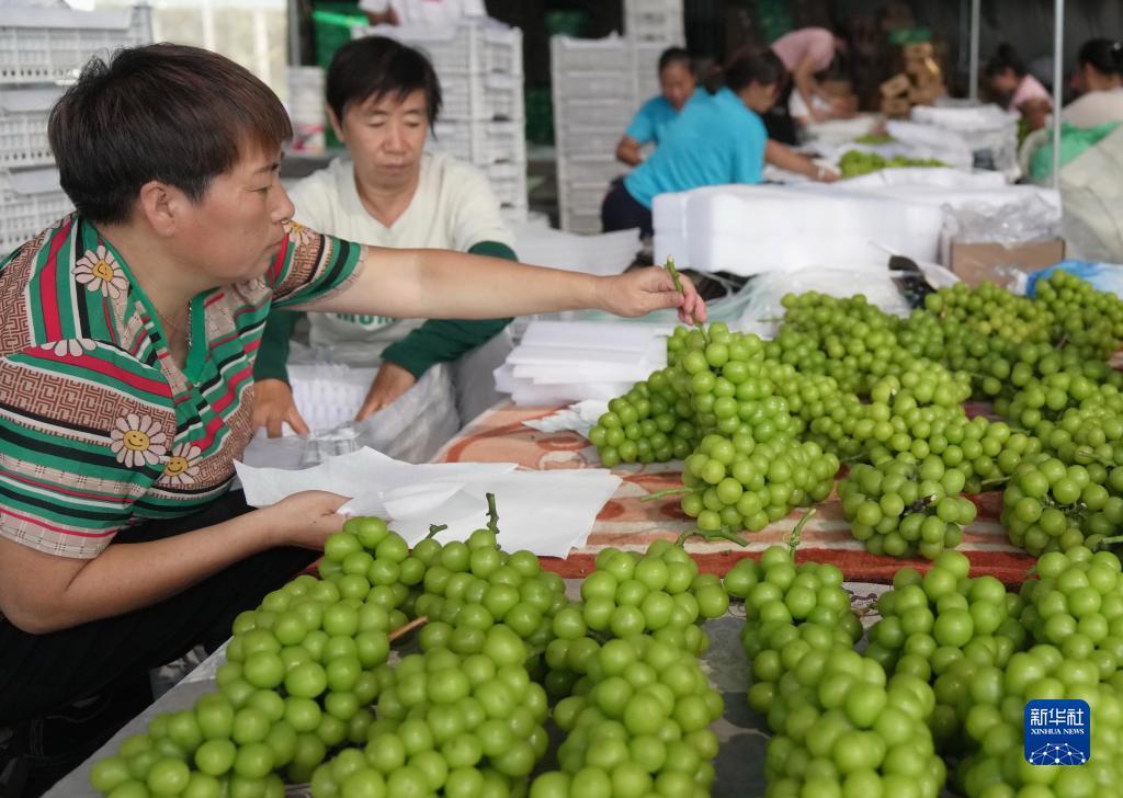乐游现金游戏